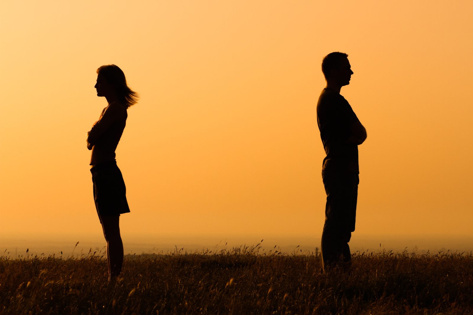 Diagnosing High Conflict Divorces
